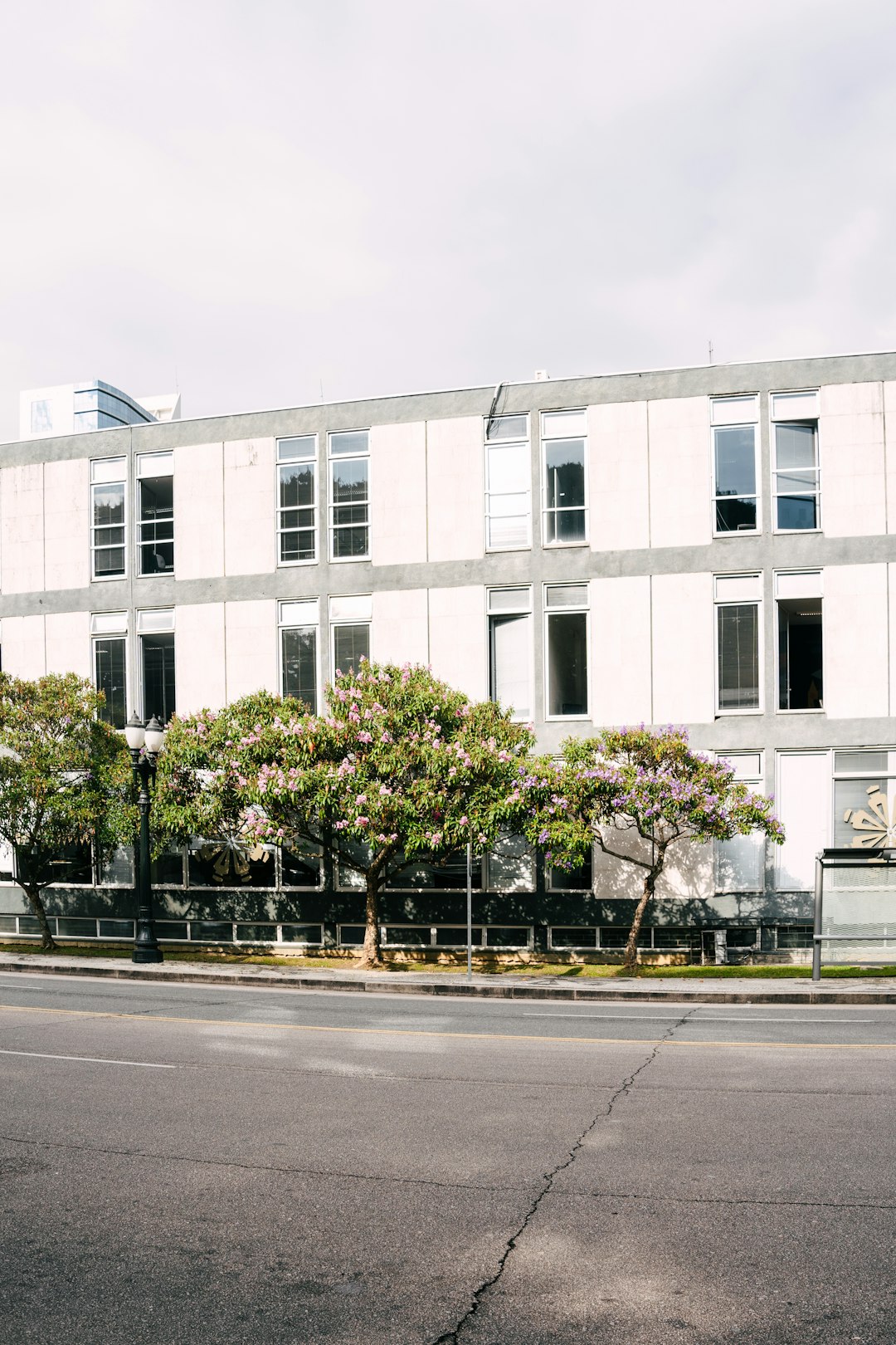 gallery-3 modern-building-with-trees-in-front-on-a-street-bhxpoabm3ui